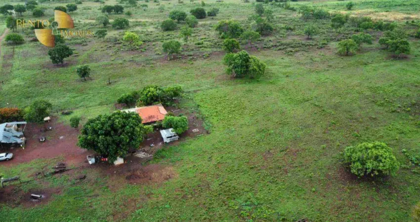 Fazenda a menos de 40km de Cuiabá à venda, 8400000 m² por R$ 15.000.000 - Zona Rural - Cuiabá/MT