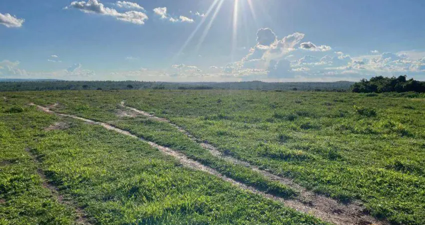 Fazenda à venda, 17520000 m² por R$ 33.000.000,00 - Tesouro  - Tesouro/MT