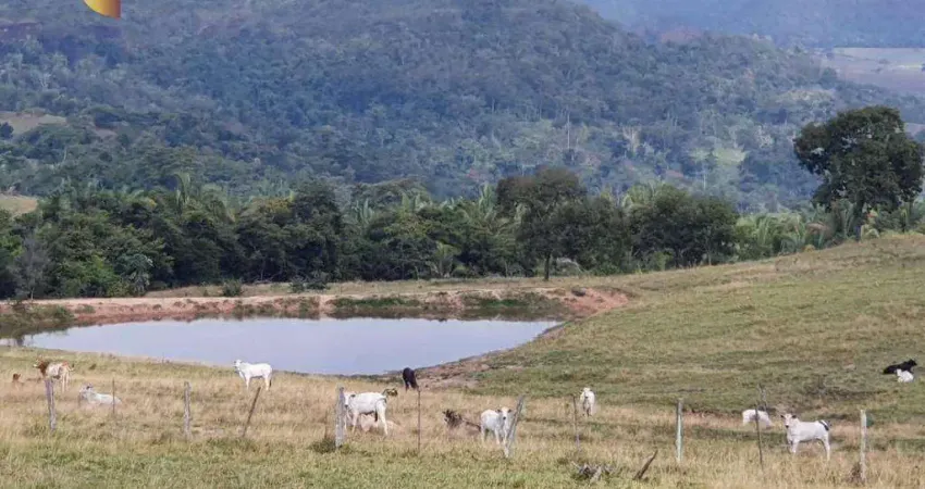 Fazenda á 16km de Dom Aquino-MT à venda, 11370000 m² por R$ 20.000.000 - Zona Rural - Dom Aquino/MT