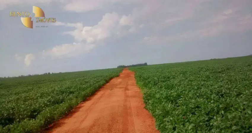 Fazenda à venda, 24610000 m² por R$ 28.000.000,00 - Zona Rural - Rondonópolis/MT