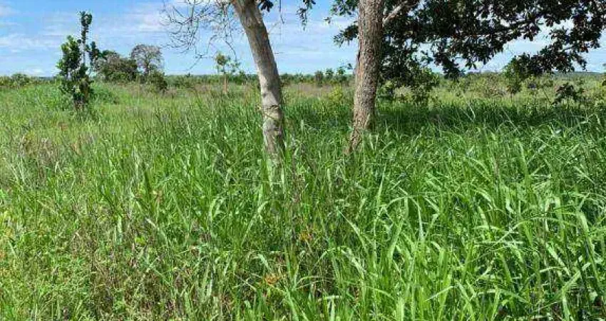 Fazenda na região de Tesouro  à venda, 9060000 m² por R$ 15.000.000 - 256 - Tesouro/MT