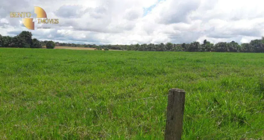 Fazenda no município de São José do Rio Claro  à venda por R$ 15.000.000 - Zona Rural - São José do Rio Claro/MT