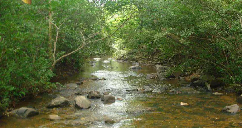 Fazenda em Nossa Senhora do Livramento  à venda, 4870000 m² por R$ 6.000.000 - Zona Rural - Nossa Senhora do Livramento/MT