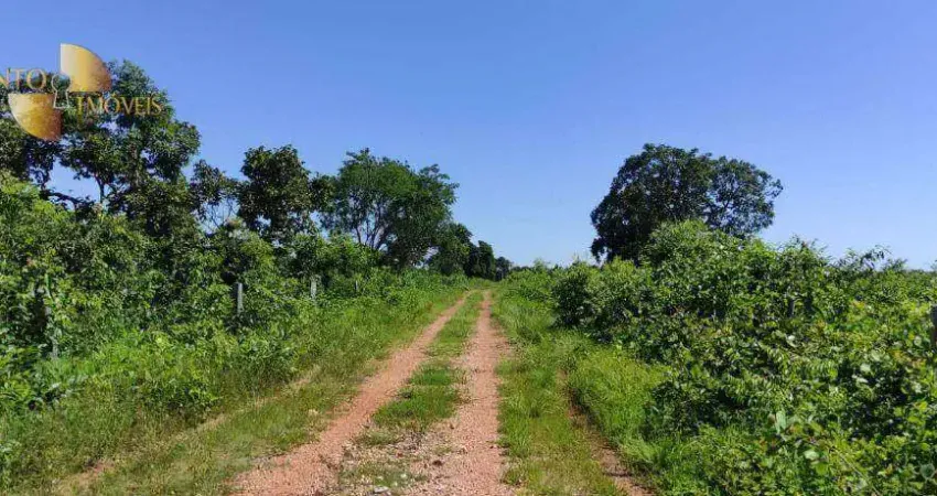 Fazenda á 60km de Cuiabá à venda, 28980000 m² por R$ 30.000.000 - Zona Rural - Nossa Senhora do Livramento/MT