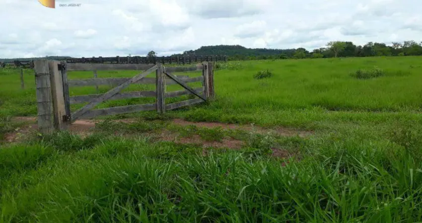 Fazenda indo pra Gaúcha do Norte à venda, 7960000 m² por R$ 12.000.000 - Zona Rural - Gaúcha do Norte/MT