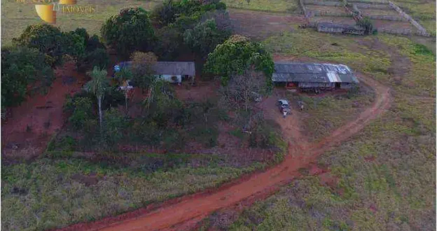 Fazenda à venda, 38940000 m² por R$ 78.000.000,00 - Zona Rural - Gaúcha do Norte/MT