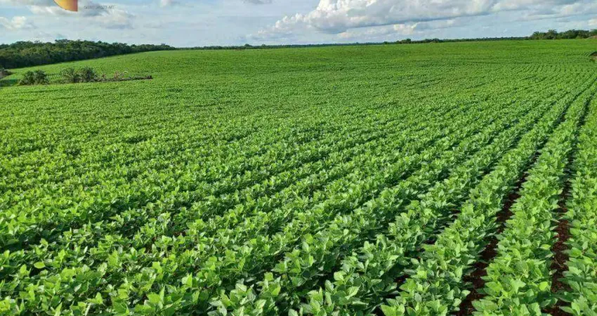 Fazenda em Canarana à venda, 22080000 m² por R$ 147.527.520 - Zona Rural - Canarana/MT