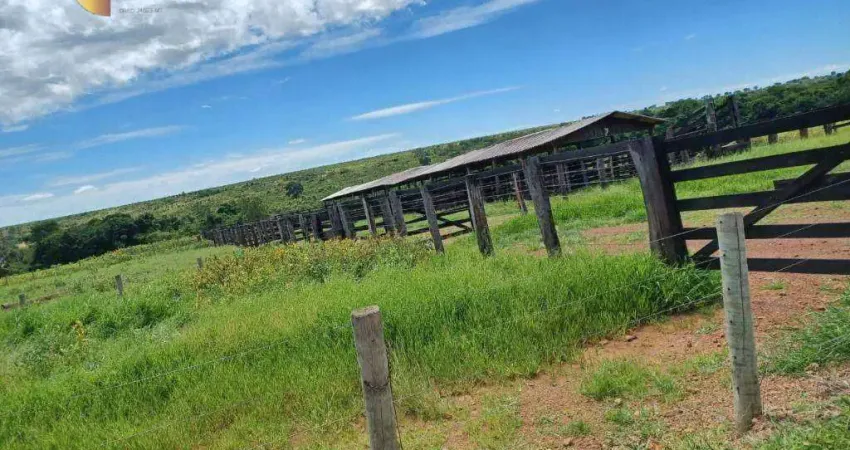 Fazenda à venda, 31060 m² por R$ 148.000.000,00 - Zona Rural - Água Boa/MT