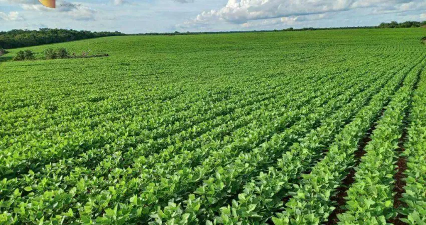 Fazenda à venda, 31060000 m² por R$ 132.000.000,00 - Zona Rural - Água Boa/MT
