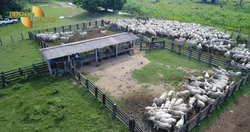 Fazenda à venda, 60000000 m² por R$ 12.000.000,00 - Zona Rural - Poconé/MT