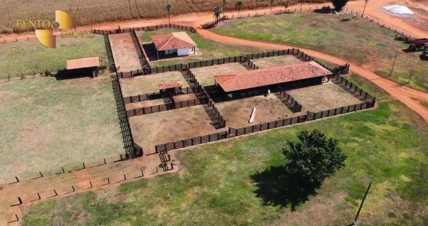 Fazenda à venda, 36000000 m² por R$ 165.000.000,00 - Zona Rural - Tabaporã/MT