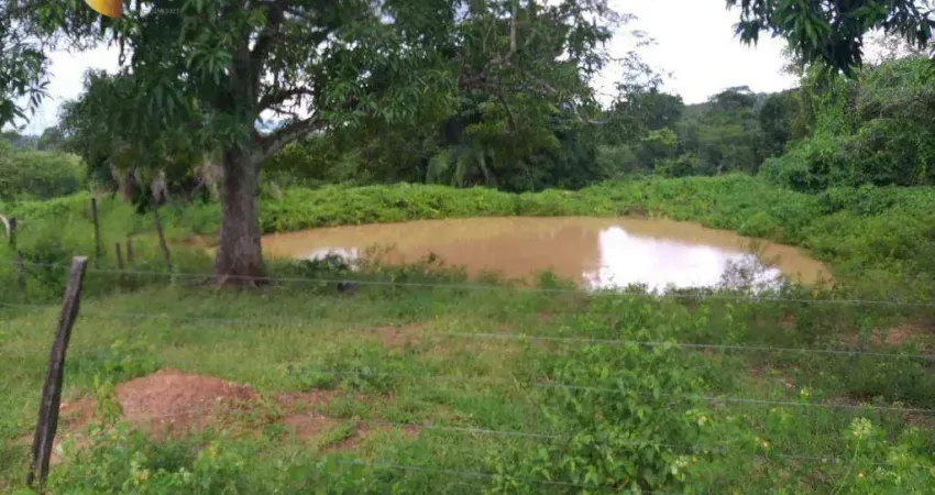 Fazenda à venda, 21260000 m² por R$ 12.756.000,00 - Centro - Tesouro/MT