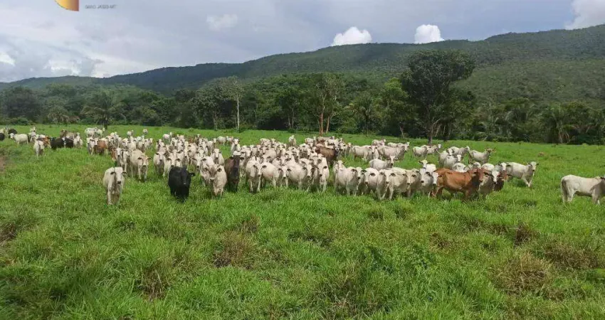 Fazenda na região de Currupira à venda, 12400000 m² por R$ 14.880.000 - Zona Rural - Barra do Bugres/MT