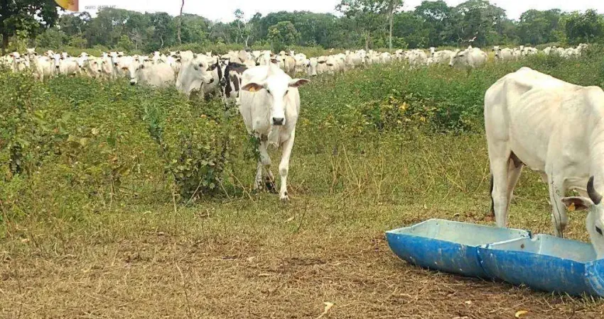 Fazenda a 40mk da praia grande à venda, 16000000 m² por R$ 17.000.000 - Zona Rural -Várzea Grande/Mato Grosso