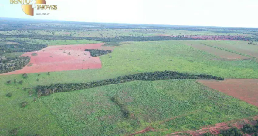 Fazenda na região de BARRA do Garças à venda, 35600000 m² por R$ 65.000.000 - Zona Rural - Barra do Garças/MT