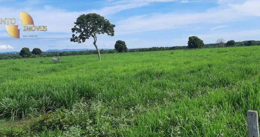Fazenda em Poconé à venda, 6000000 m² por R$ 15.000.000 - Zona Rural - Poconé/MT