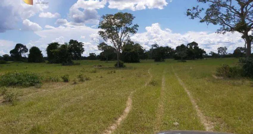 Fazenda na Região de Poconé à venda, 38000000 m² por R$ 25.000.000 - Zona Rural - Poconé/MT