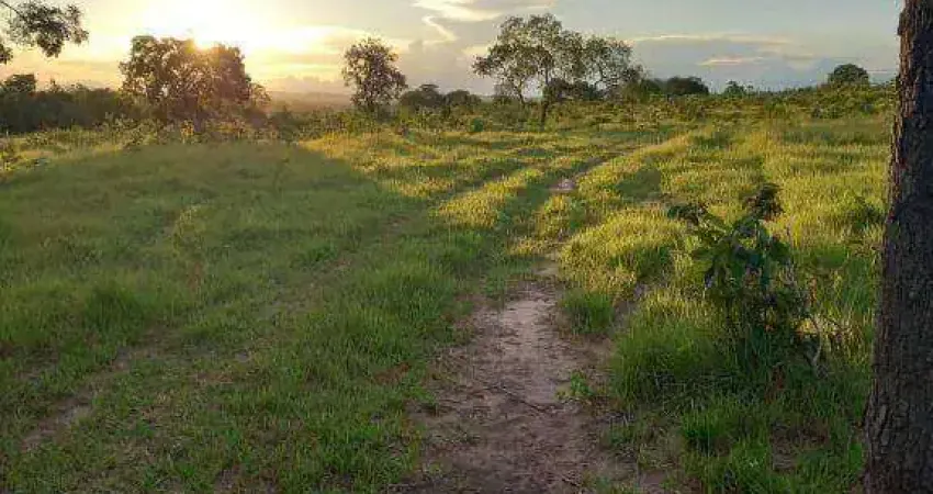 Fazenda á 100km de Barra do Garças à venda, 12580 m² por R$ 20.000.000 - Zona Rural - Barra do Garças/MT
