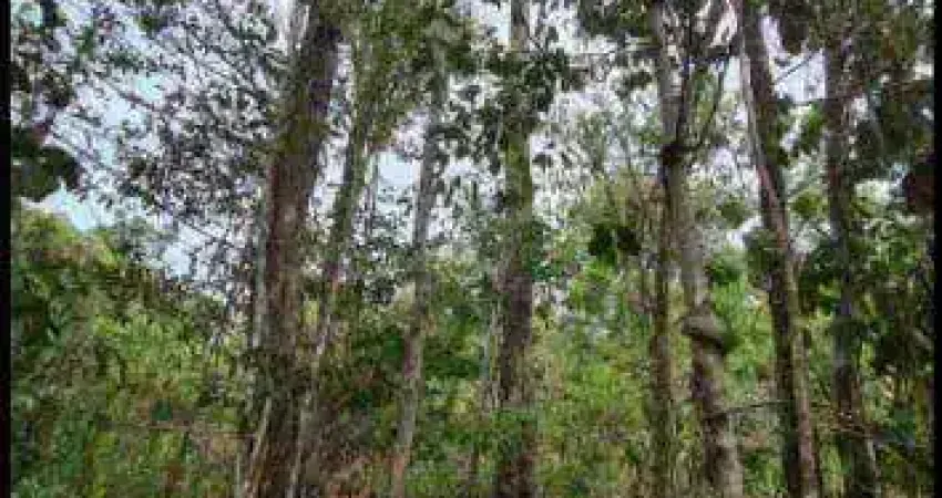 Fazenda localizada na Vila João Carro, Água Fria à venda, 6200000 m² por R$ 6.200.000 - Zona Rural - Chapada dos Guimarães/MT