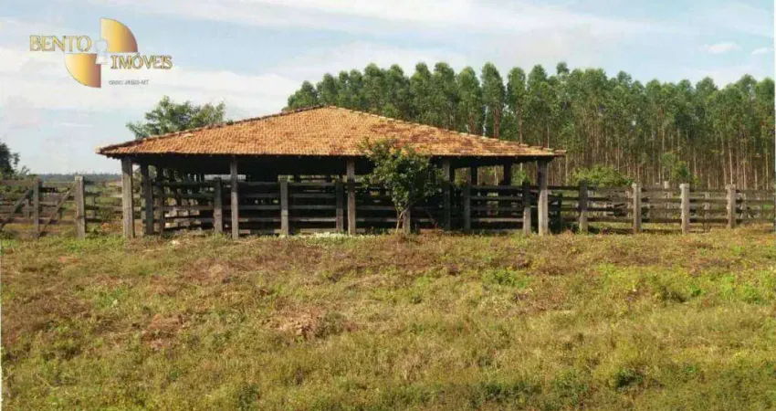 Fazenda à venda, 108900000 m² por R$ 800.000.000,00 - Cidade Nova - Paragominas/PA
