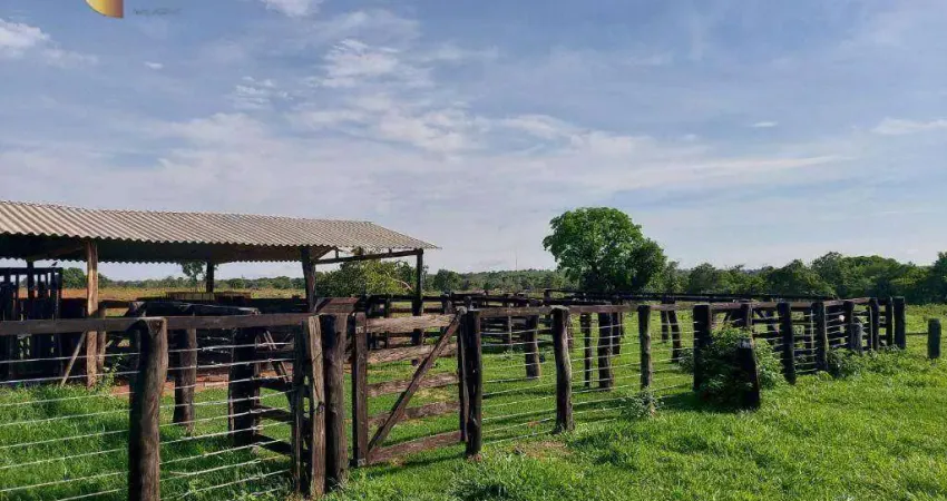 Fazenda à venda, 9000000 m² por R$ 14.000.000,00 - Zona Rural - Primavera do Leste/MT