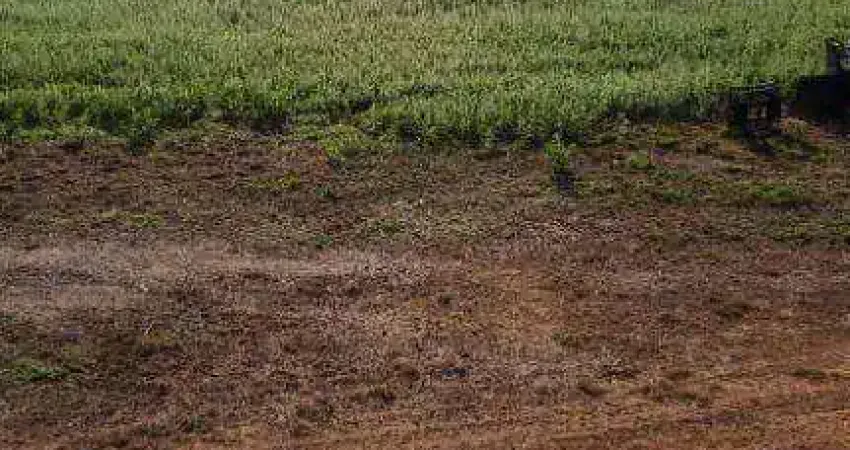 Fazenda à venda, 27330000 m² por R$ 130.000.000,00 - Zona Rural - Canarana/MT