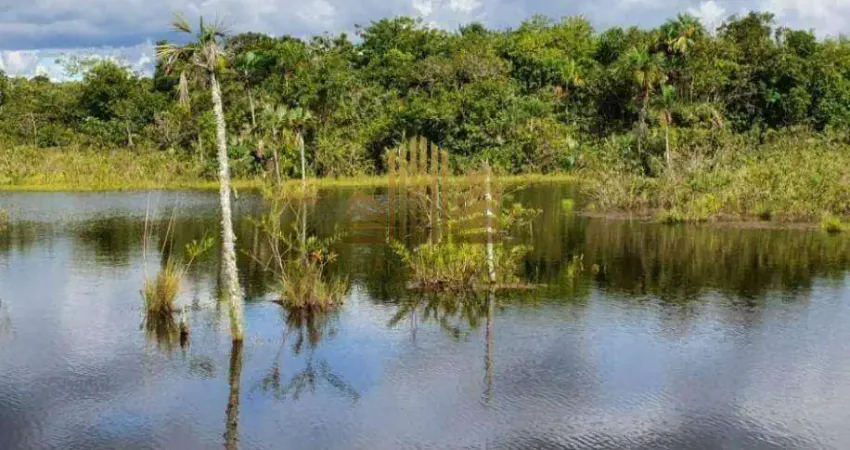 Fazenda à venda, 7750000 m² por R$ 59.721.500,00 - Zona Rural - Primavera do Leste/MT