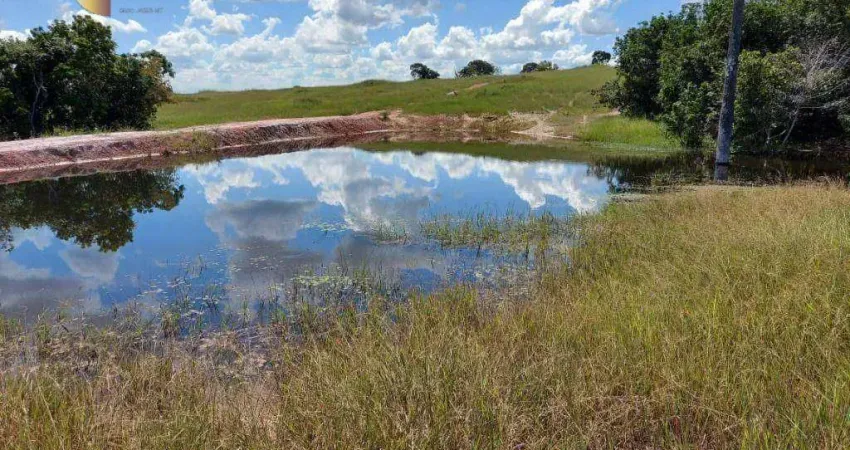 Fazenda em Tesouro à venda, 43060000 m² por R$ 71.200.000 - Tesouro - Tesouro/MT