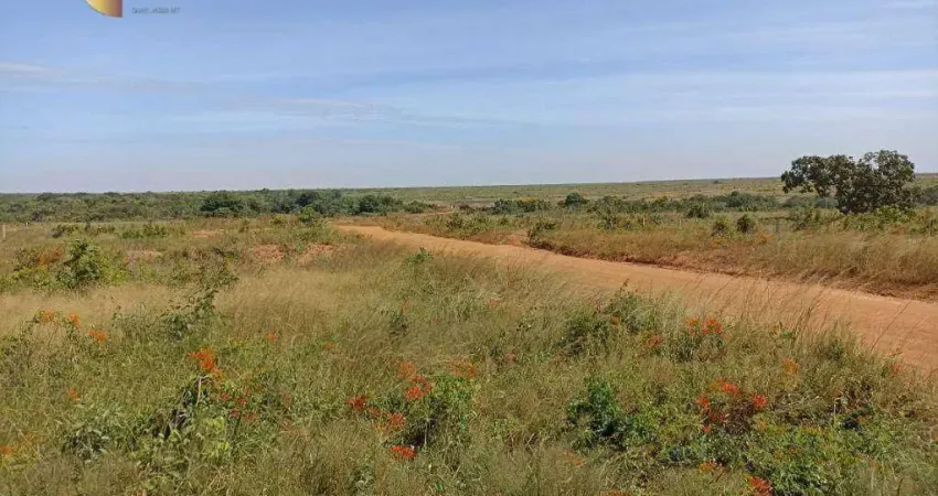 Fazenda á 35km de Santiago à venda, 26000000 m² por R$ 65.544.960 - Zona Rural - Paranatinga/MT