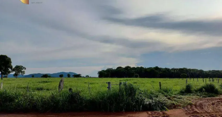 Fazenda 45km da capital à venda, 5140000 m² por R$ 15.000.000 - Zona Rural - Cuiabá/MT