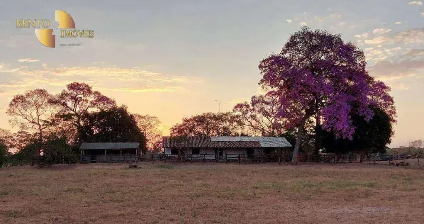 Fazenda no Pantanal à venda, 19000000 m² por R$ 5.500.000 - Zona Rural - Poconé/MT