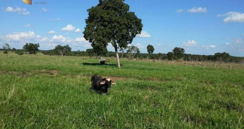 Fazenda á 100km de Cuiabá à venda, 6970000 m² por R$ 24.750.000 - Zona Rural - Cuiabá/MT