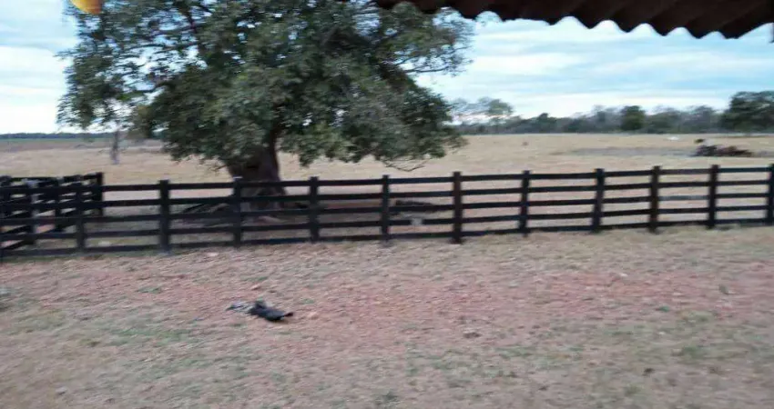 Fazenda no Pantanal à venda, 13630000 m² por R$ 12.000.000 - Zona Rural - Poconé/MT