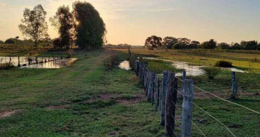 Fazenda no Pantanal Alto à venda, 25480000 m² por R$ 12.740.000 - Zona Rural - Poconé/MT