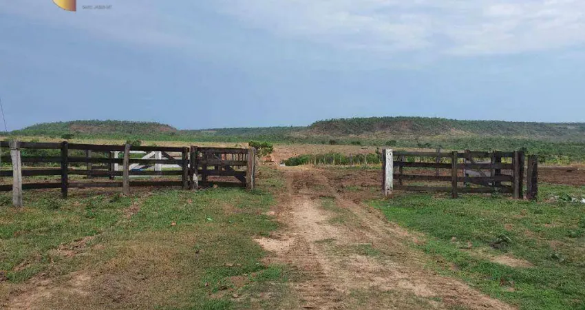 Fazenda em Paranatinga à venda, 32500000 m² por R$ 40.218.000 - Zona Rural - Paranatinga/MT