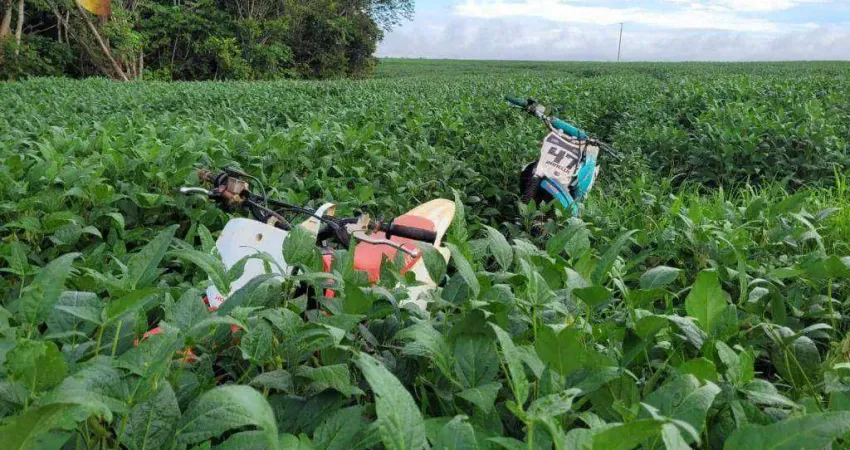 Fazenda em Lucas do Rio Verde à venda, 10000000 m² por R$ 123.750.000 - Zona Rural - Lucas do Rio Verde/MT