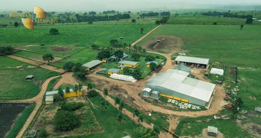 Fazenda em Juara à venda, 20830000 m² por R$ 100.000.000 - Zona Rural - Juara/MT