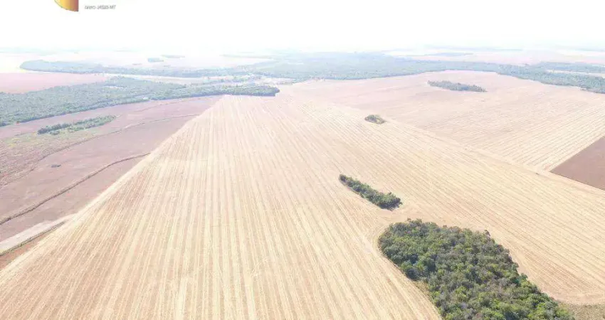 Fazenda em Canarana à venda, 130720000 m² por R$ 970.596.000 - Zona Rural - Canarana/MT
