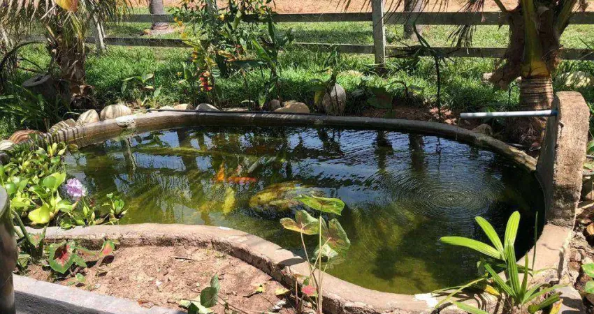 Fazenda em Juscimeira à venda, 5020000 m² por R$ 6.000.000 - Zona Rural - Juscimeira/MT