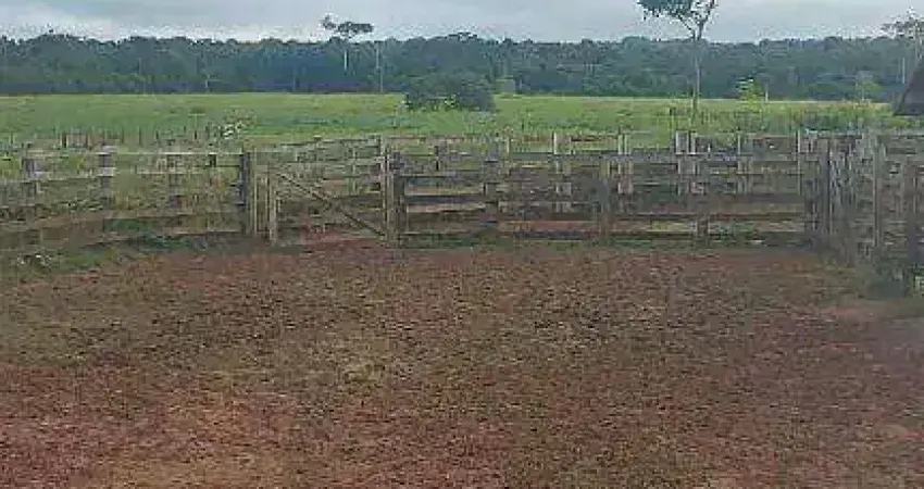 Fazenda á 90km de Rondolandia à venda, 25000000 m² por R$ 50.000.000 - Zona Rural - Rondolândia/MT