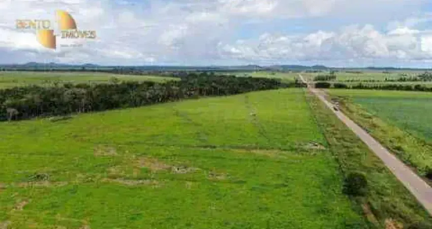 Fazenda no Pará à venda, 102000000 m² por R$ 150.000.000 - Zona Rural - PA