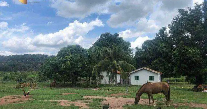 Fazenda com 4890 hectares por 87.000.000 no Pantanal por R$ 87.000. - Zona Rural - Mimoso/Santo Antônio do Leverger - MT