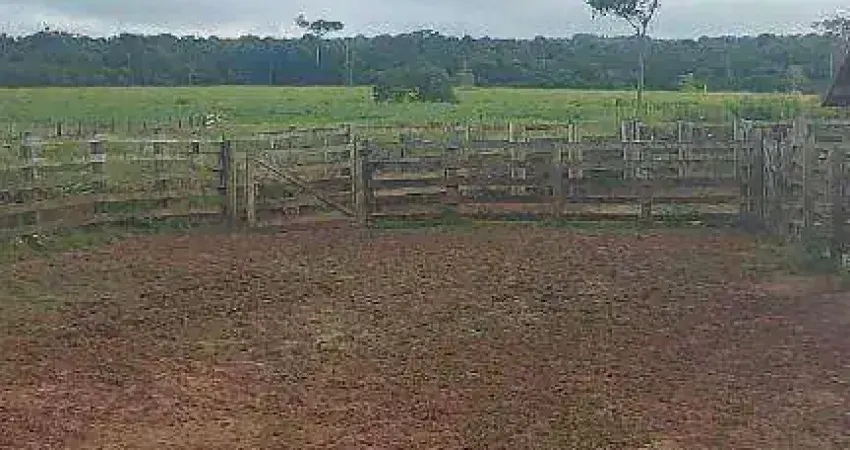 Fazenda à venda, 15890000 m² por R$ 36.000.000,00 - Novo Horizonte - Paranatinga/MT