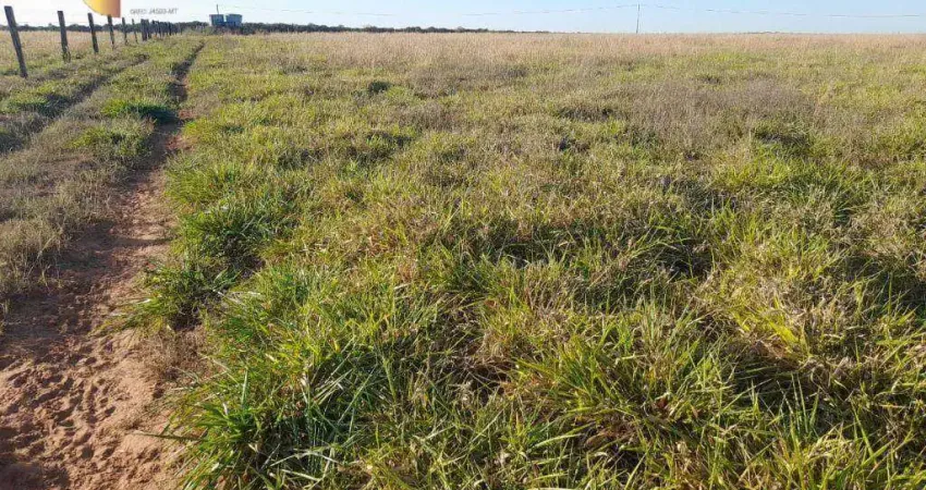 Fazenda à venda, 5564100 m² por R$ 23.000.000,00 - Zona Rural - Nova Mutum/MT