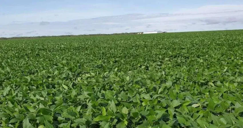 Fazenda à venda, 48000000 m² por R$ 125.400.000,00 - Zona Rural - Nova Maringá/MT