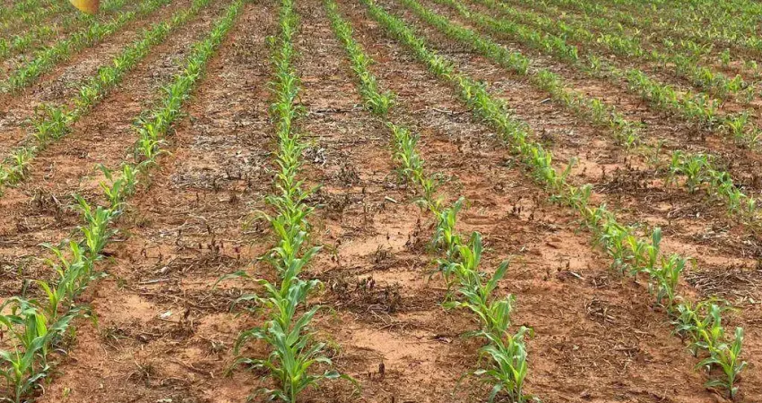 Fazenda à venda, 14480000 m² por R$ 81.600.000,00 - Zona Rural - Marcelândia/MT