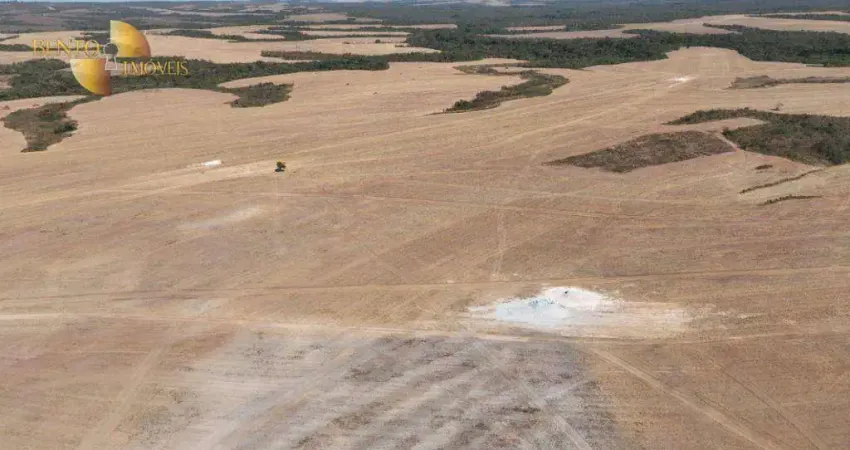 Fazenda à venda, 21770000 m² por R$ 90.750.000,00 - Vila Nova - Paranatinga/MT