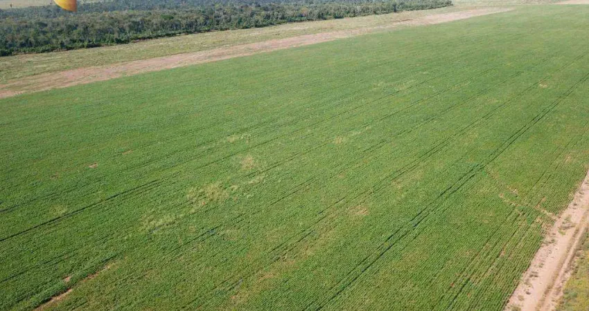 Fazenda à venda, 3220 m² por R$ 132.825.000 - Zona Rural - Paranatinga/MT