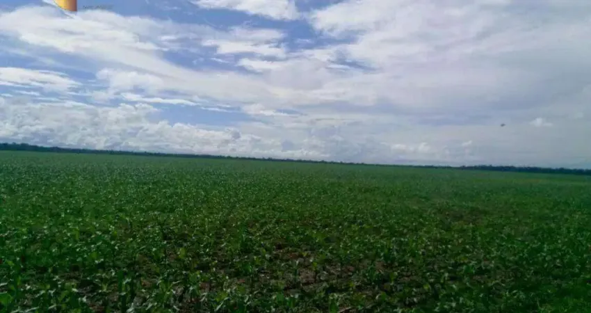 Fazenda à venda, 24980000 m² por R$ 275.520.000,00 - Zona Rural - Nova Maringá/MT