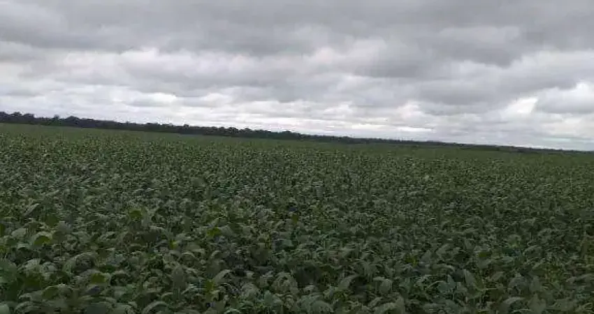 Fazenda à venda, 78000000 m² por R$ 398.492.640,00 - Zona Rural - Paranatinga/MT